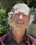 Daniel Hallin, Distinguished Professor